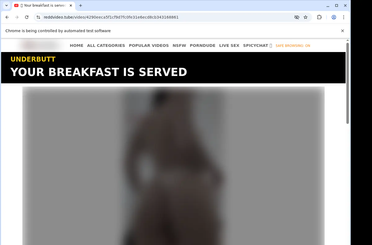 Reddittube Video Downloader browser extension screenshot 2