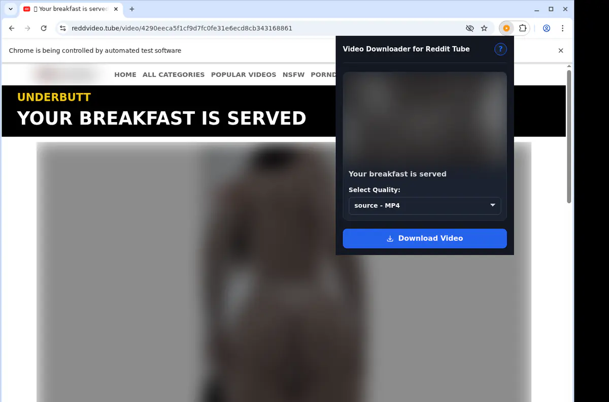 Reddittube Video Downloader browser extension screenshot 3