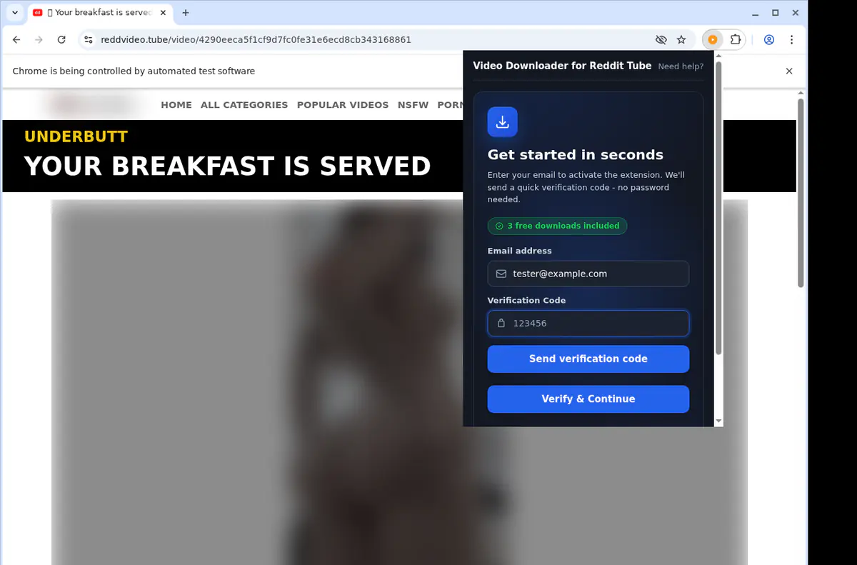 Reddittube Video Downloader browser extension screenshot 4