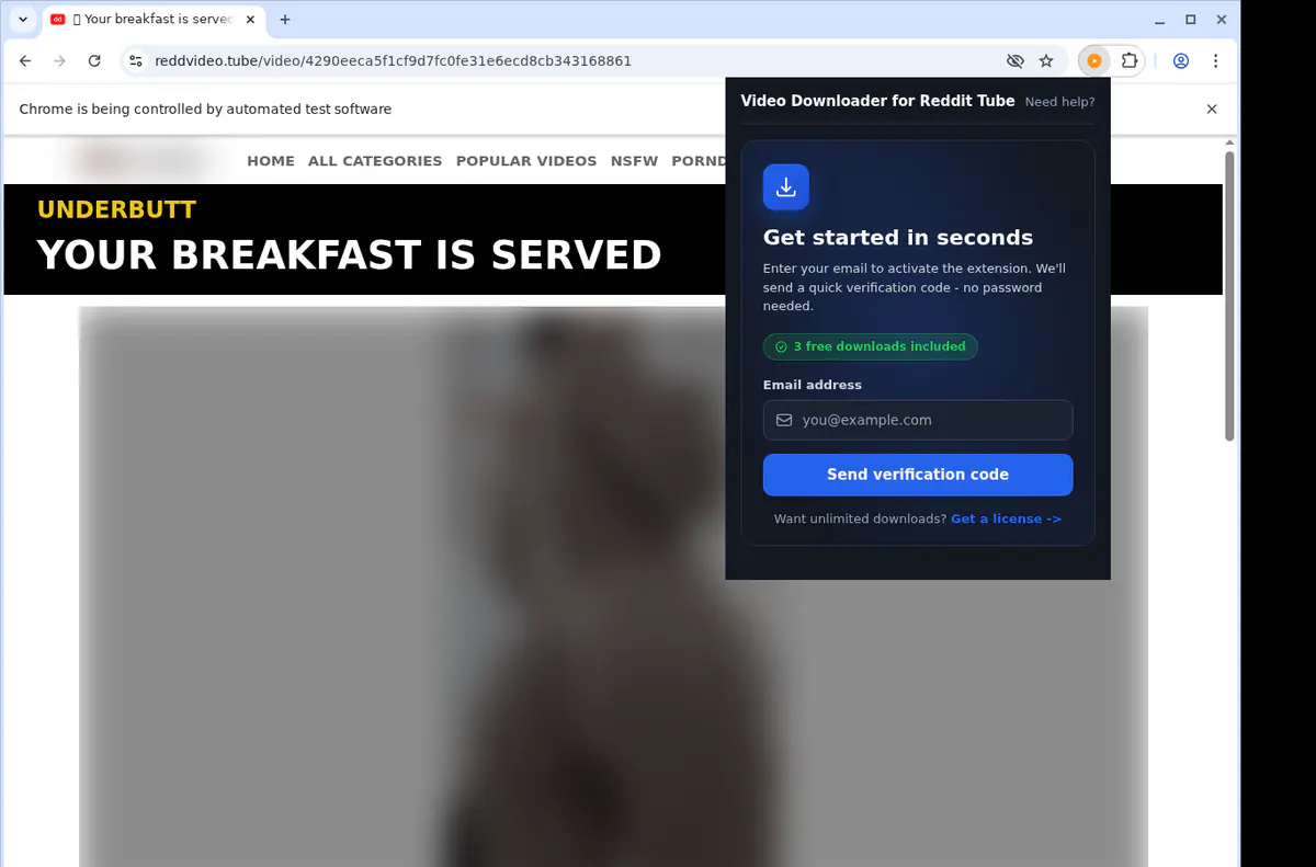 Reddittube Video Downloader browser extension screenshot 5